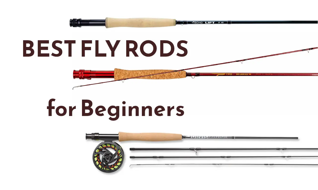 Fly Logic Fly Rods Top 5 Fly Rods for Beginners | RiverPeopleGuides