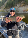 Rainbow-Trout-bow-river.webp
