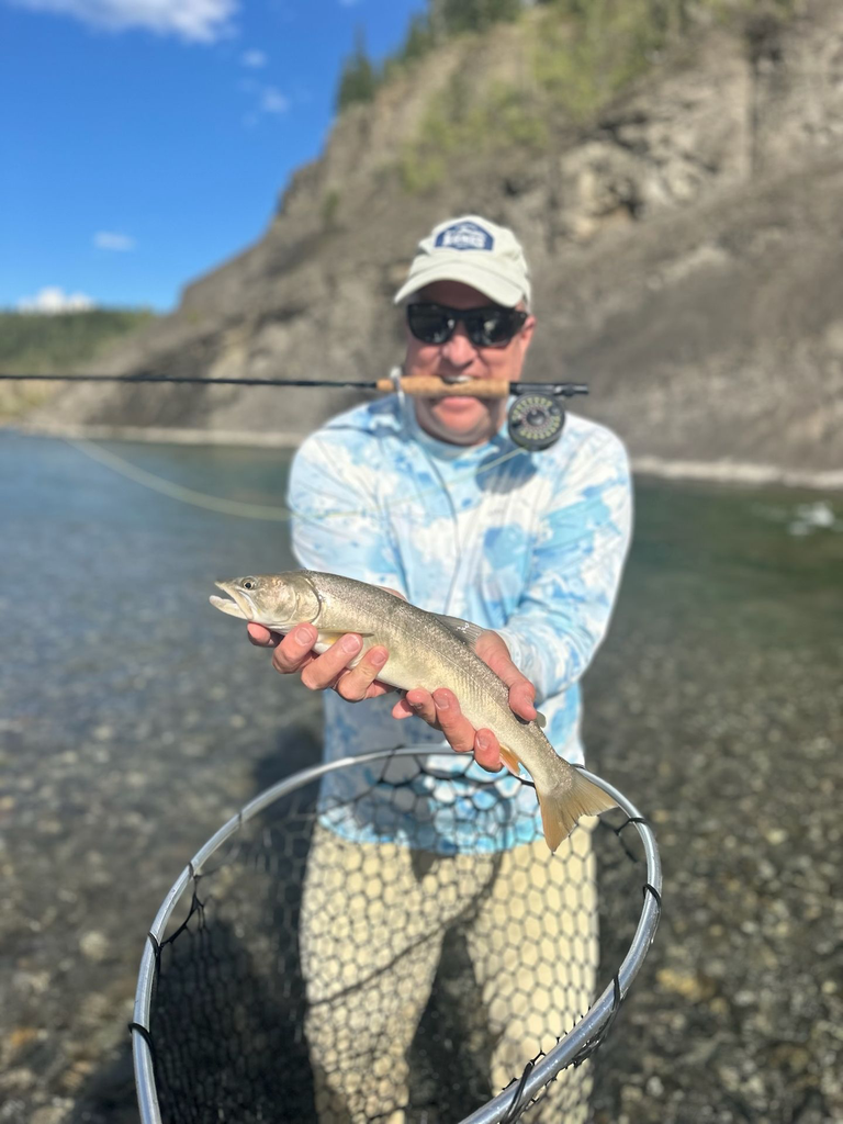 Alpine River Fishing.webp