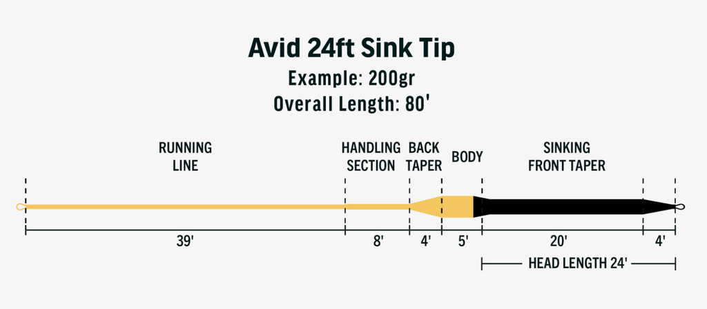 RIO AVID Sink Tip Fly Line Diagram.webp