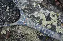 Riverbed_camo_net_full_1500x.webp