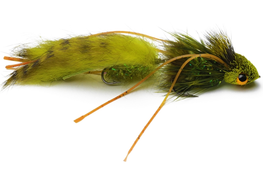 Gallup's Nancy P Olive