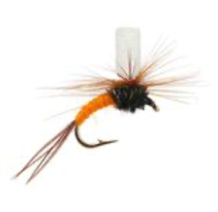 FT Klinkhammer Orange