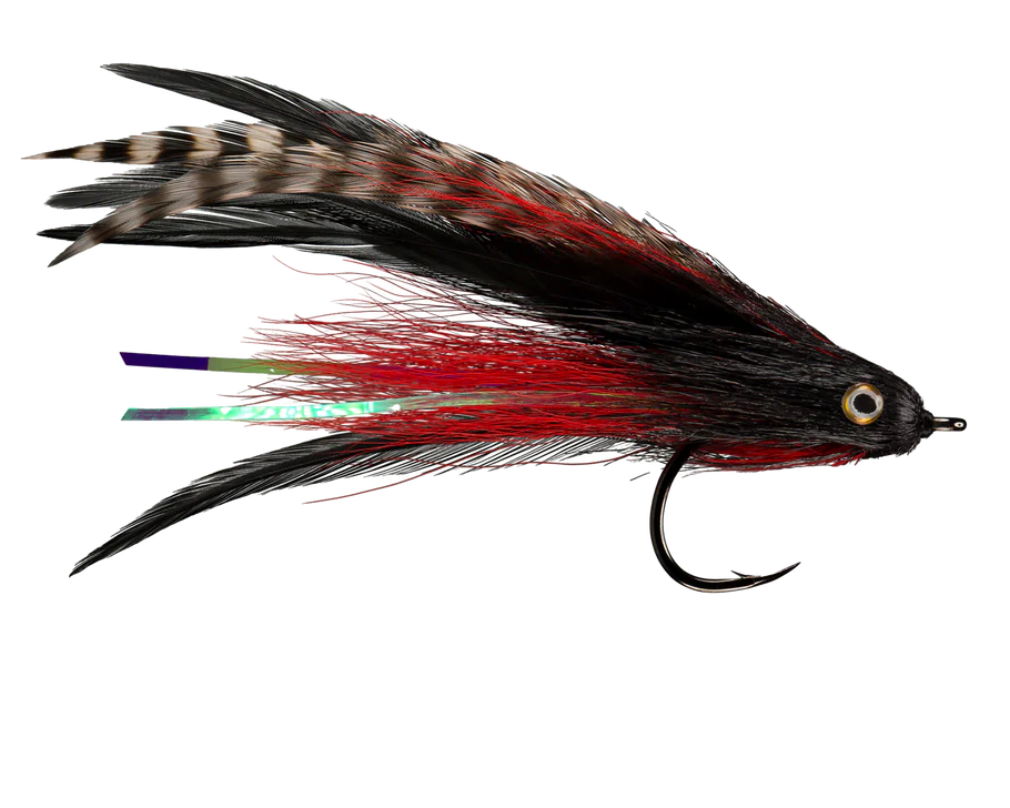 RIO'S MORRISH JUNGLE LOVE Red & Black