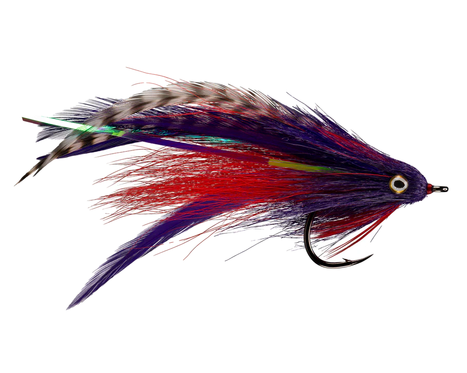 RIO'S MORRISH JUNGLE LOVE Purple & Red