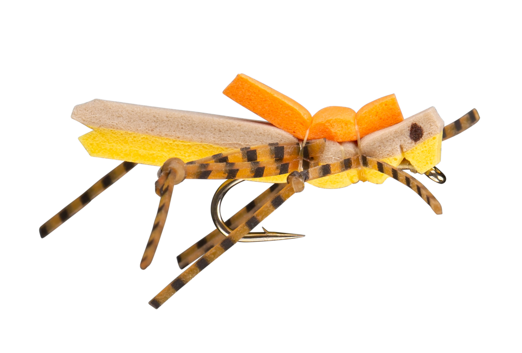 Morrish Golden Hopper