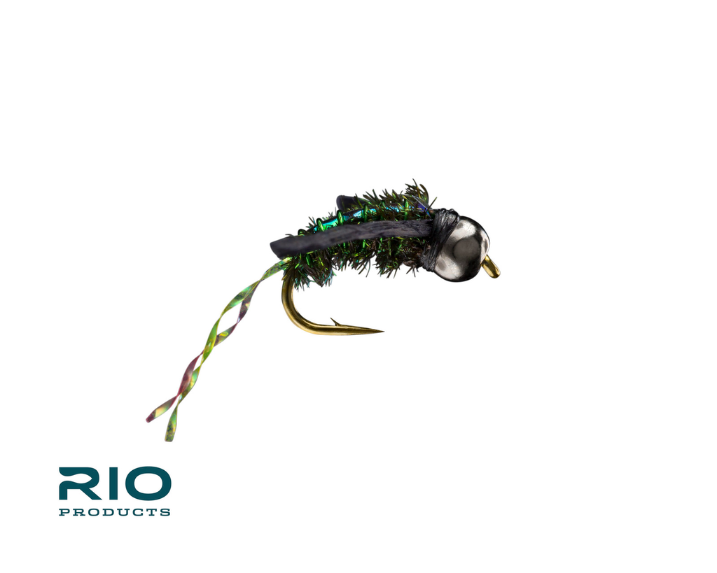 Water Boatman Peacock