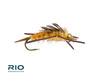 Rubber Legs Stonefly Bead Gold