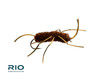 Sili-leg Stone Dark Brown