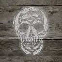 Fly Till You Die Sticker