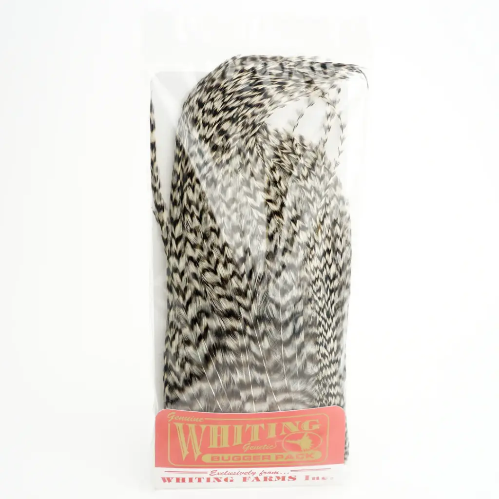 Whiting Woolly Bugger Pack