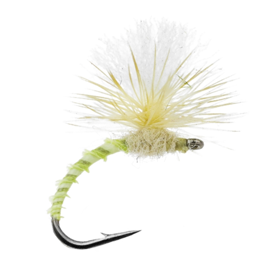 Church ’s Emerger Sulphur
