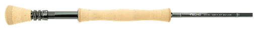 Echo Ion XL