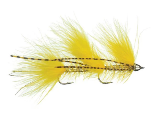 MFC Galloup's Mini Peanut Envy - Yellow  S6