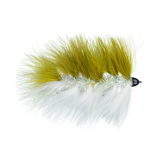 MFC Galloup's Barely Legal (CH) - Olive/White