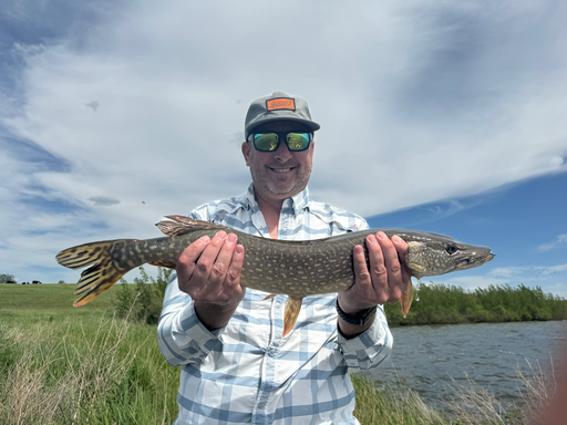 Pike On The Fly