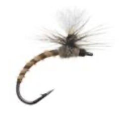 Church ’s Emerger Hendrickson