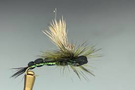 Turning Point Green Drake
