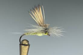Tilt Wing Dun PMD