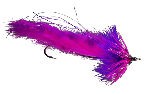 String Leech Pink & Purple