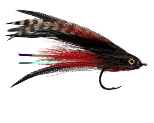 RIO'S MORRISH JUNGLE LOVE Red & Black