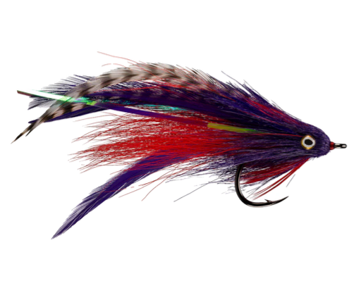 RIO'S MORRISH JUNGLE LOVE Purple & Red