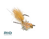 RIOs Beard Louse