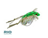 RIO'S SHIMMY FROG
