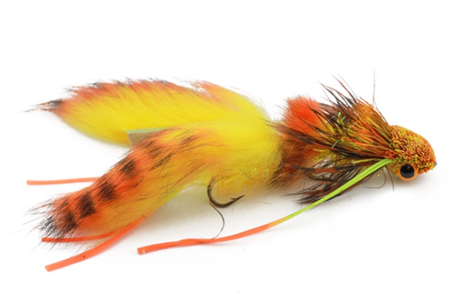 Gallup's Nancy P Firetiger