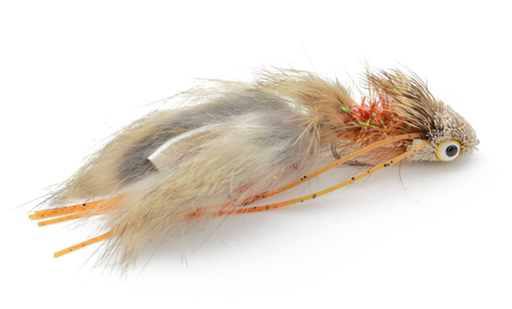 Gallup's Nancy P Natural